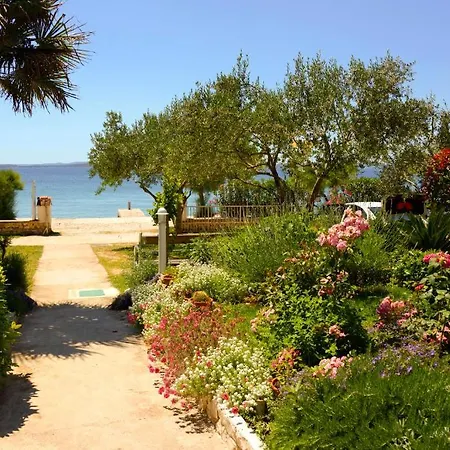 بيت ضيافة Katarina