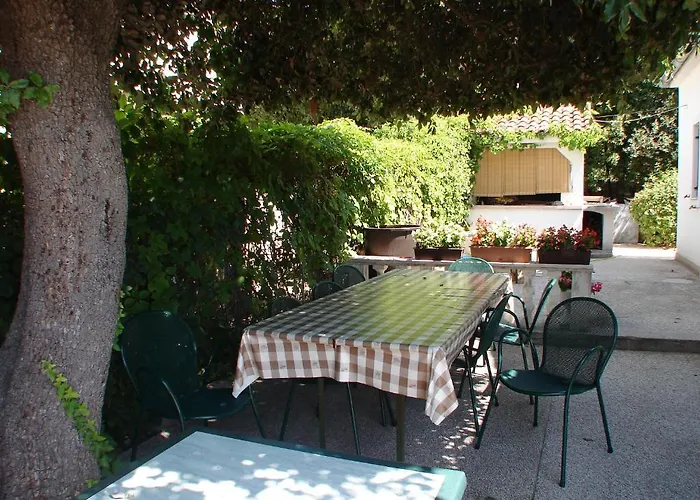 Katarina 돈제페트레케인