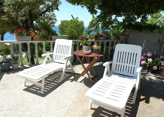 Katarina 돈제페트레케인